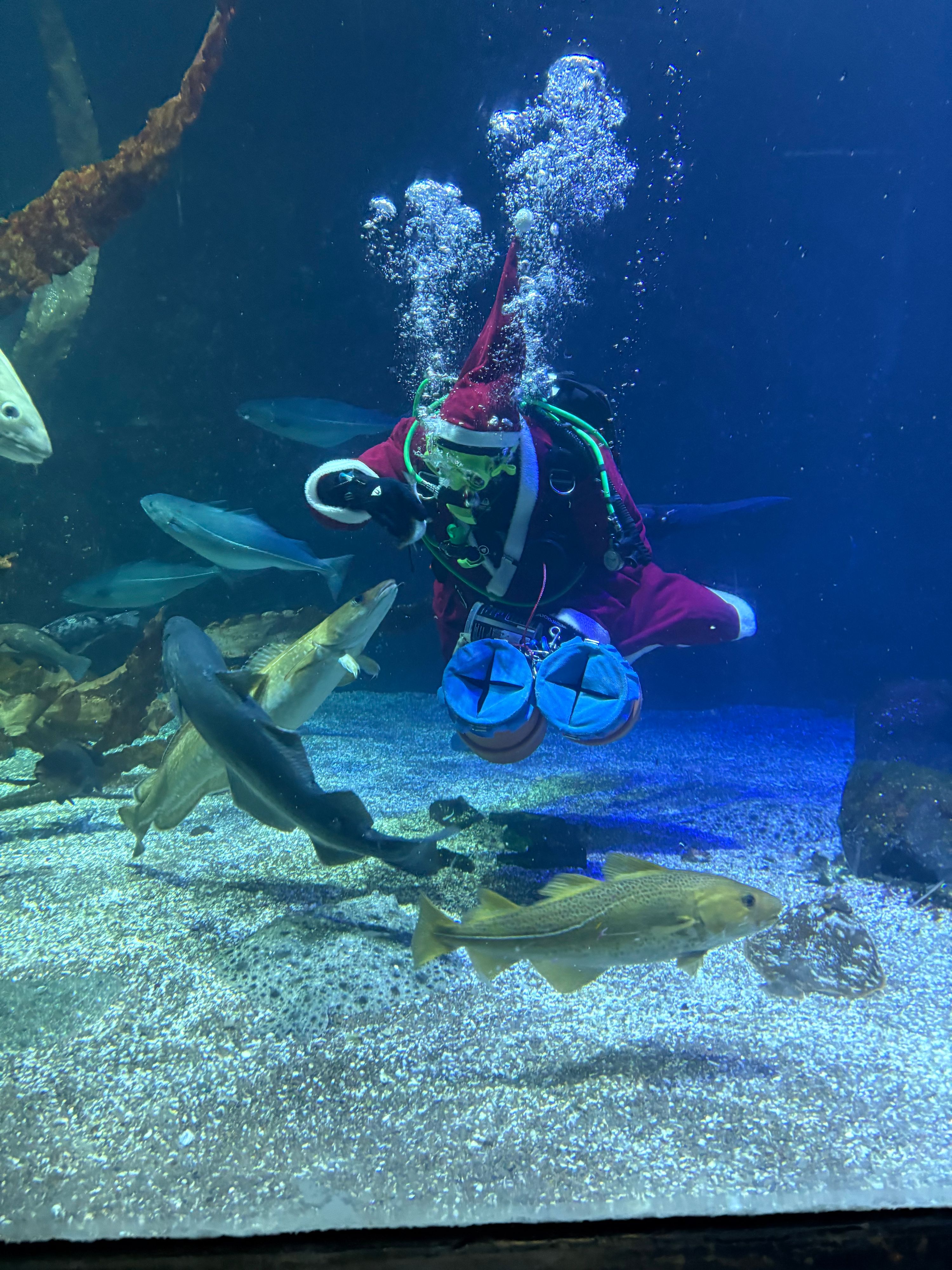 Universeum - bild 2