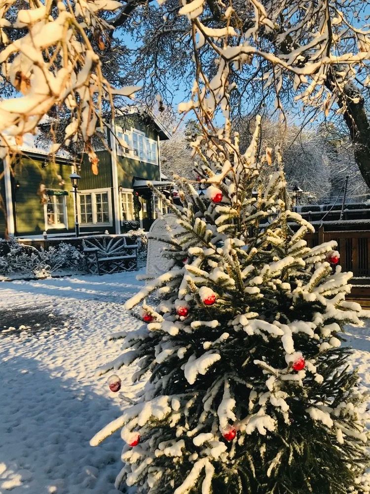 Exteriör – snöklädd julgran med röda kulor framför Gröna Stugans gröna trähus i Sundbyberg